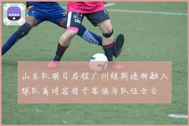 山东队明日启程广州琼斯逐渐融入球队高诗岩将于客场与队伍会合