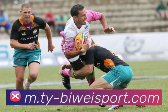 必威足球APP 封面图